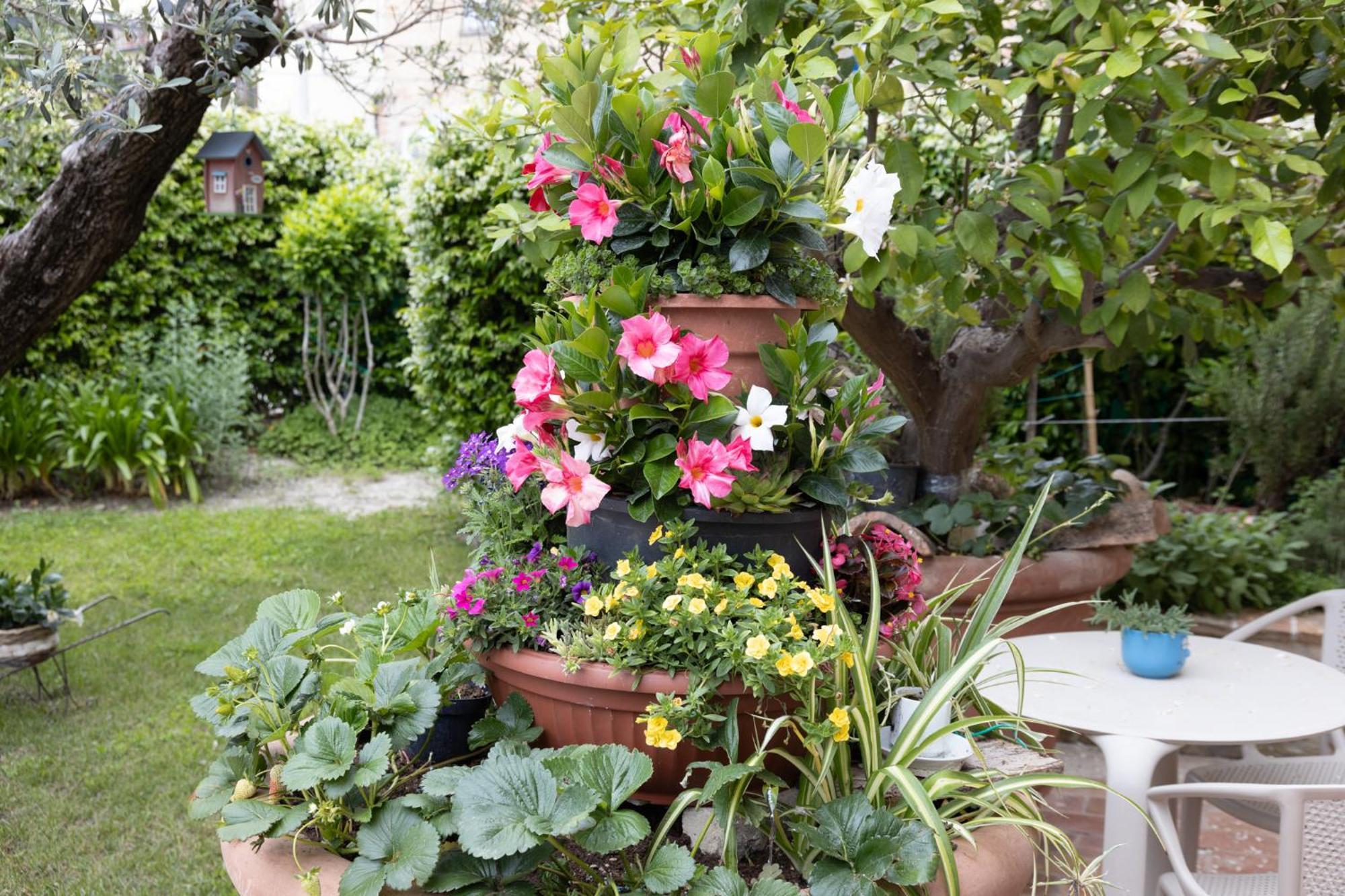 Dimora Fontemaggio Bed & Breakfast Cossignano Eksteriør bilde